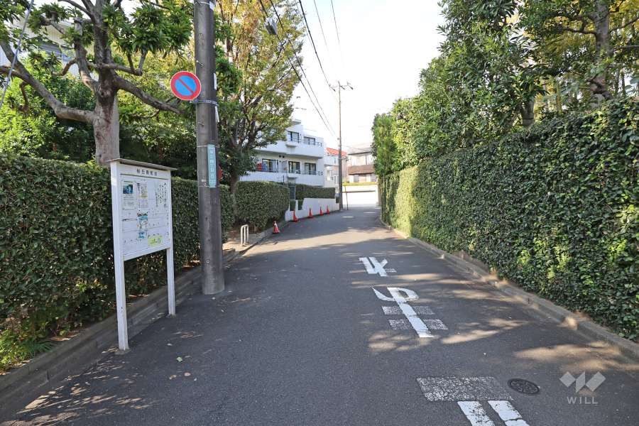 敷地東側の前面道路（南側から）