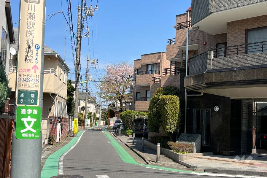 敷地の北側前面道路(北西側から)