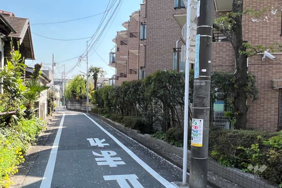 敷地の東側前面道路(北側から)