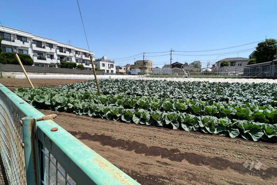 敷地の南側に隣接する中杉農園