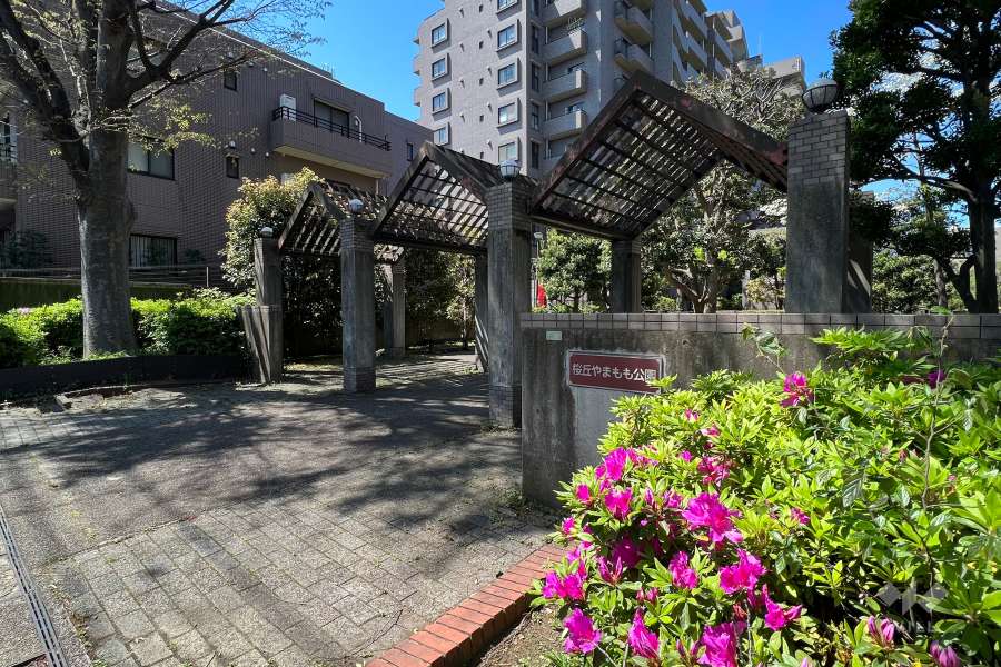 敷地の北側に隣接する『桜丘やまもも公園』