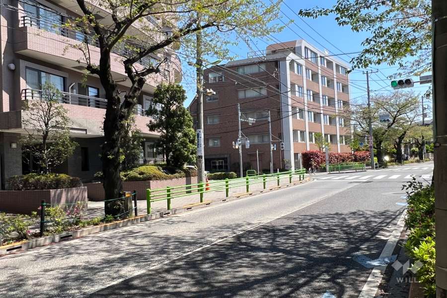 敷地の南側前面道路(西側から)