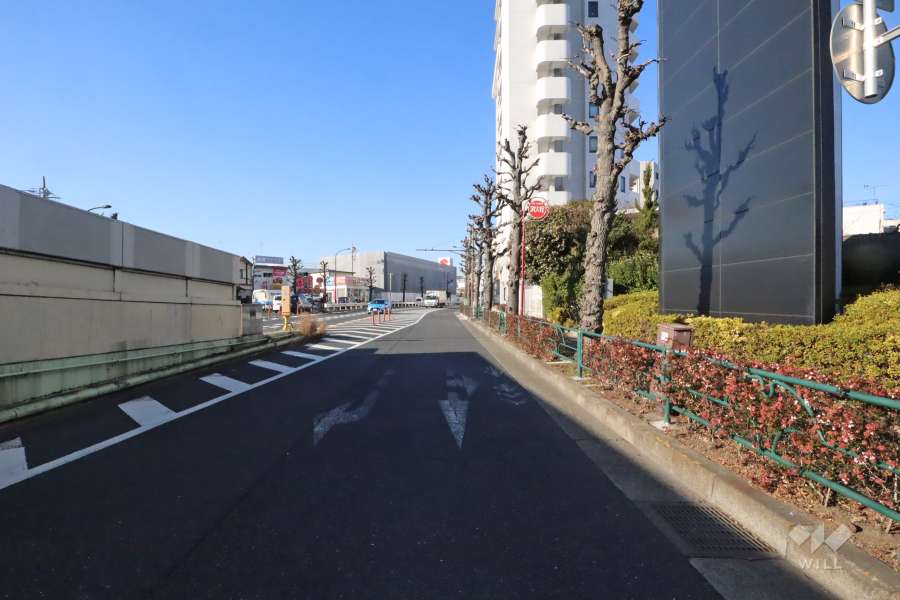 敷地西側の前面道路(南側から)