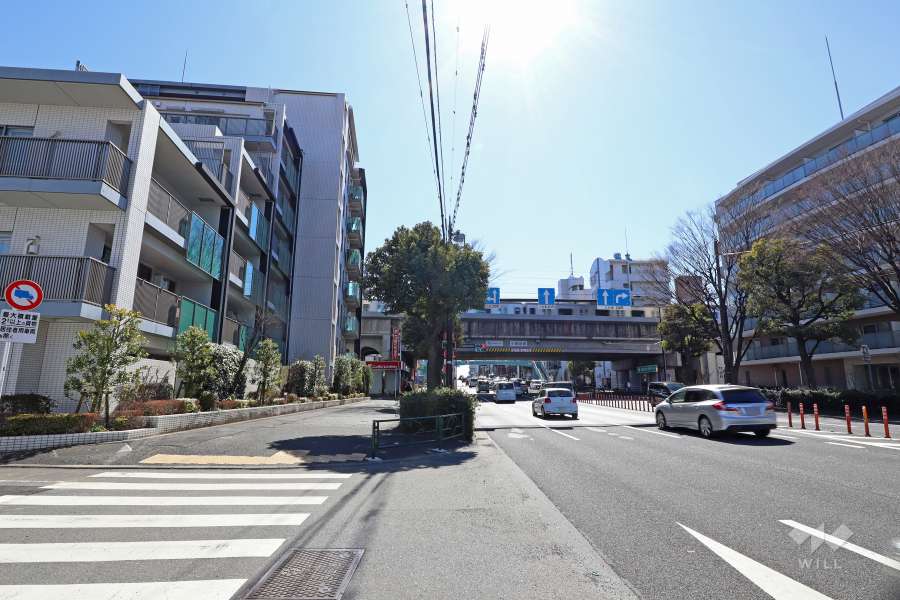 敷地南西側の前面道路（北西側から）