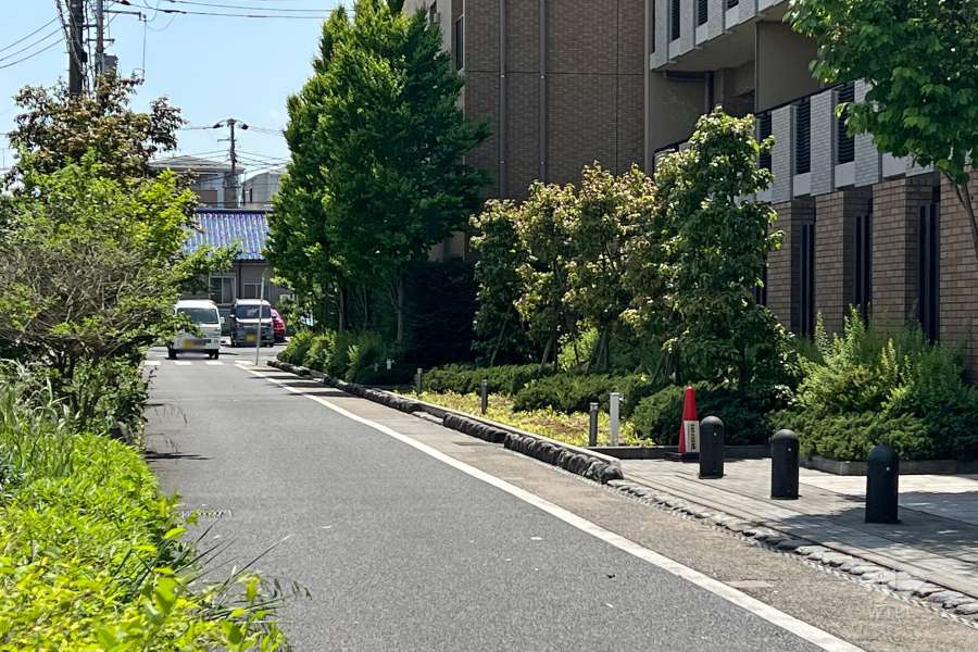 敷地東側の前面道路