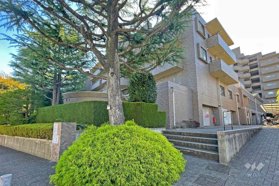 桜丘フラットの外観（北西側から）