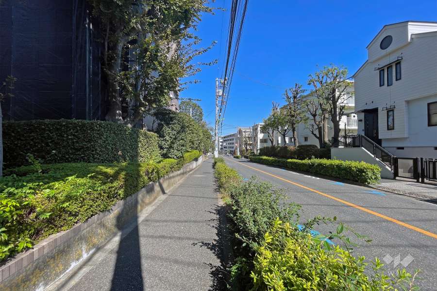 敷地東側の前面道路（南側から）