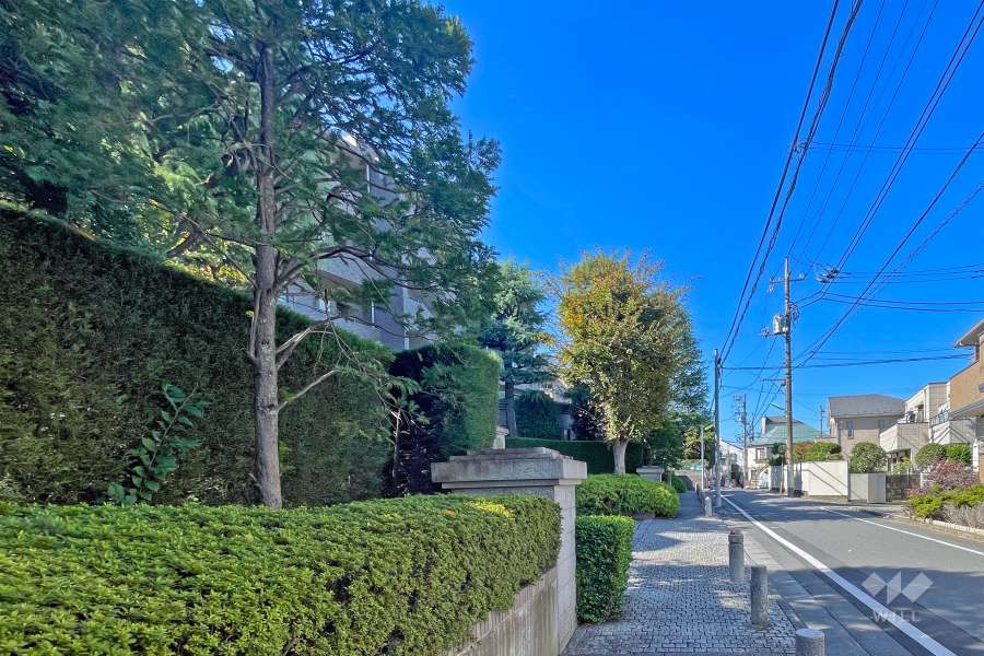 敷地北側の前面道路（東側から）