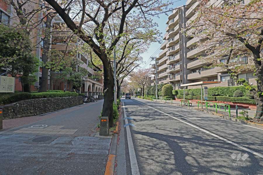 敷地北側前面道路