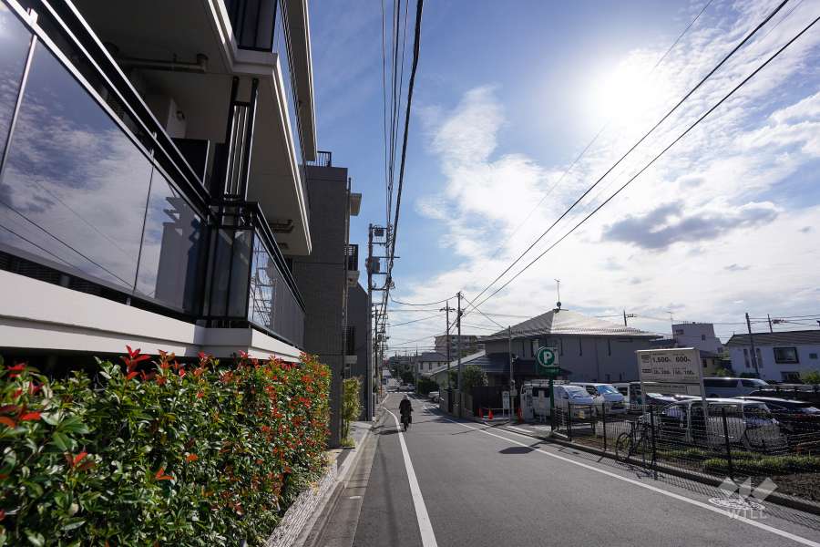 敷地西側の前面道路（北側から）