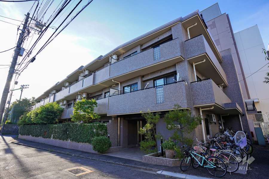 藤和シティコープ桜上水2の外観（南東側から）