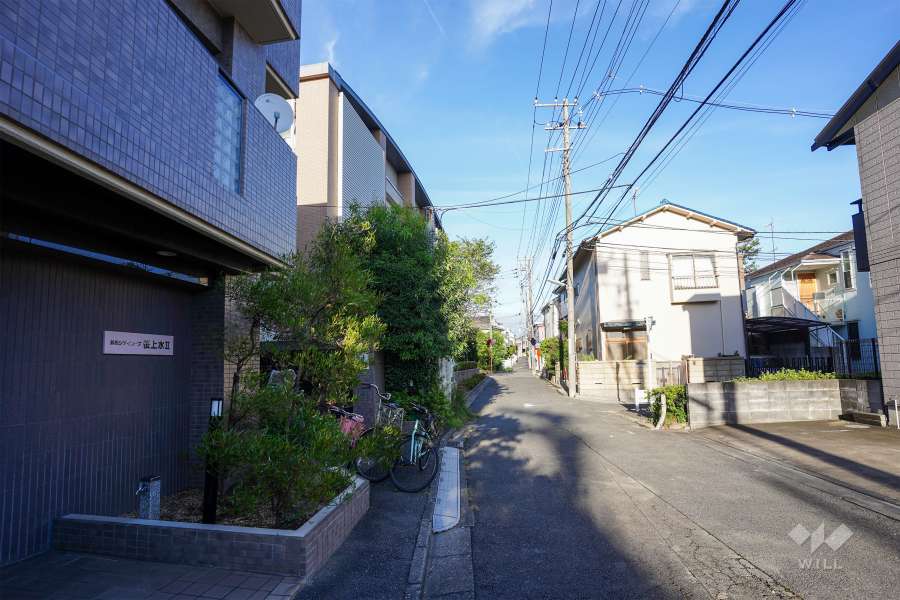 敷地南側の前面道路（西側から）