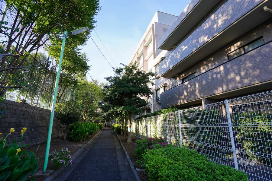 敷地西側の前面道路（南側から）