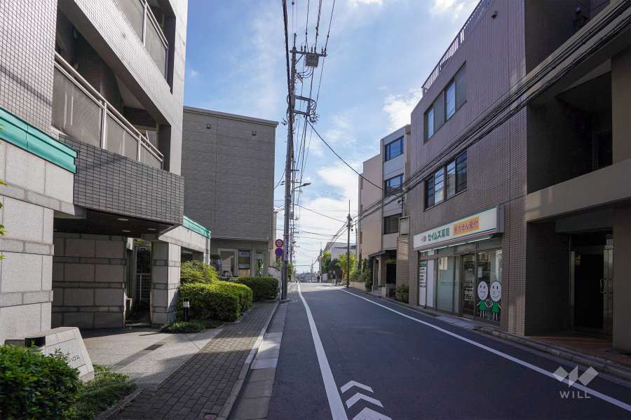 敷地西側の前面道路（北側から）