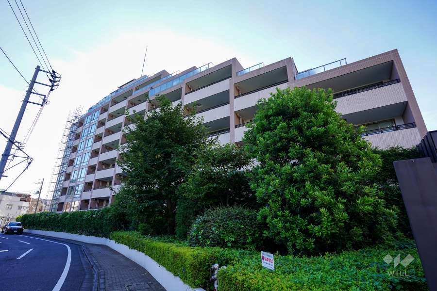 アルス桜上水の外観（北東側から）