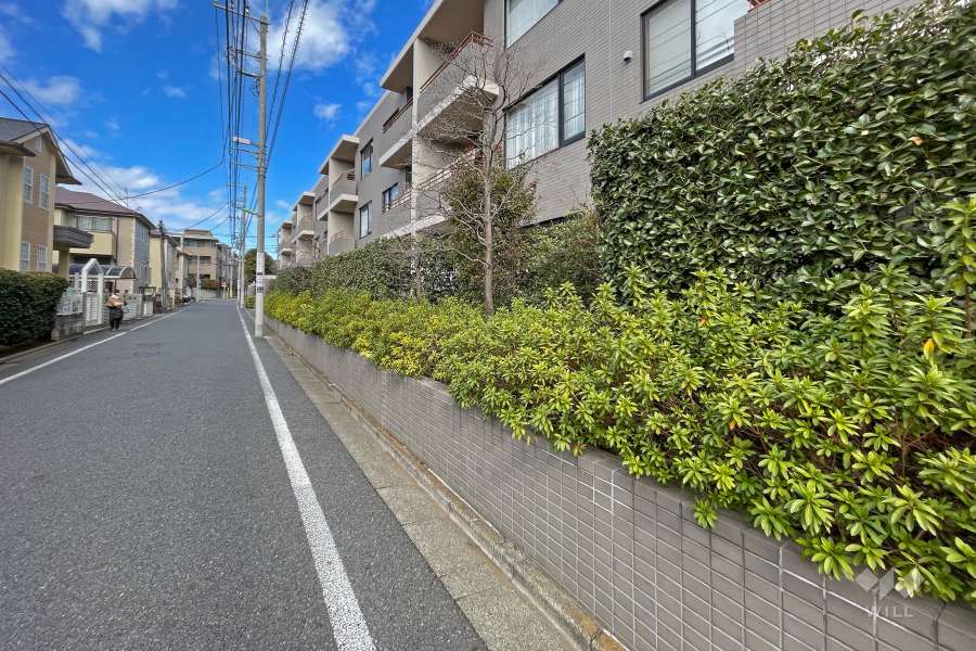 敷地西側の前面道路（南側から）