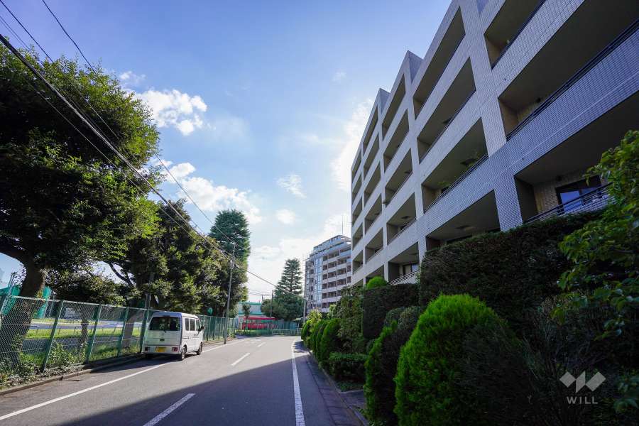 敷地南東側の前面道路（北東側から）