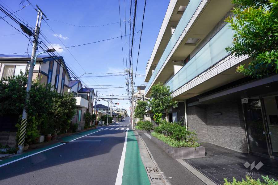 敷地西側の前面道路（南側から）