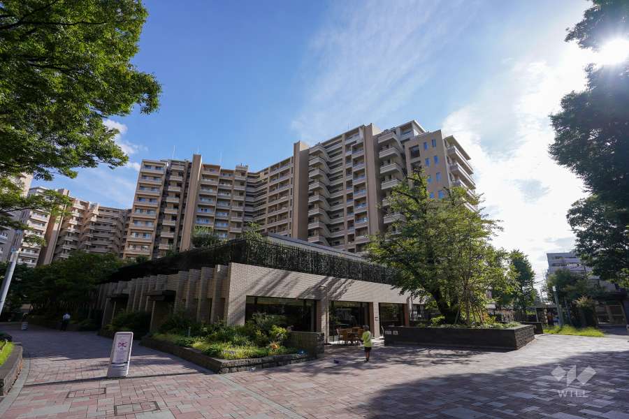 桜上水ガーデンズD棟の外観（北側から）