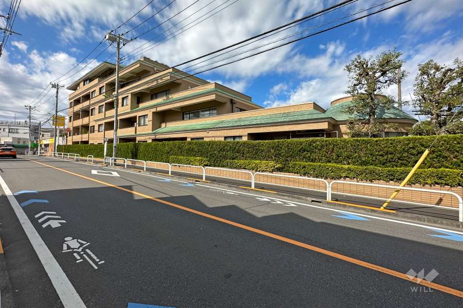 敷地南側の前面道路