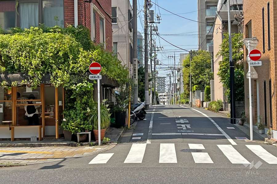 敷地の東側前面道路(南東側から)