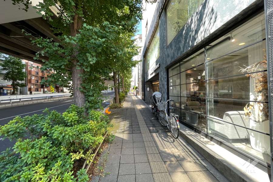 敷地南側の前面道路（東側から）