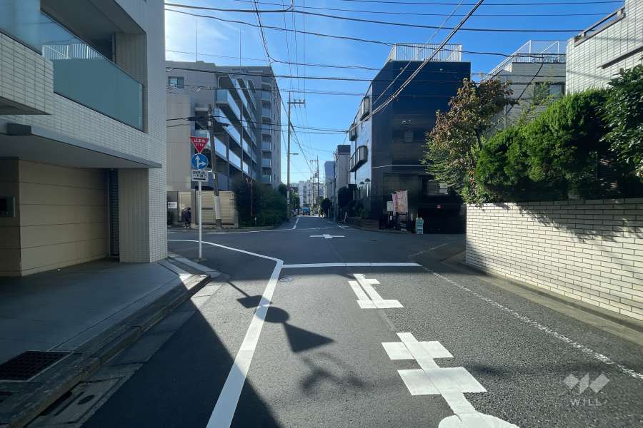 敷地西側の前面道路（北側から）
