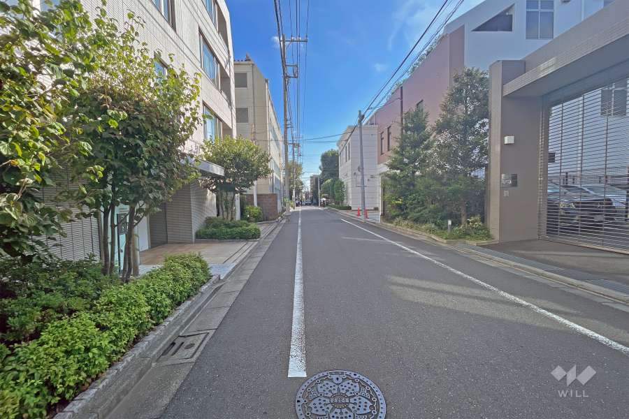敷地南側の前面道路（西側から）