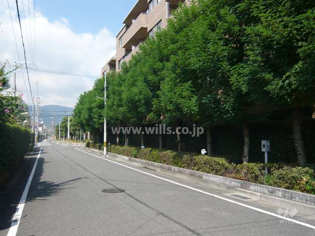 敷地西側の前面道路。敷地の周囲に植栽スペースが設けられています。