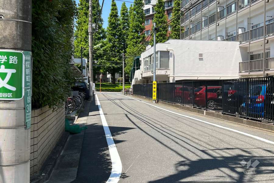 敷地の南西側道路(南東側から)