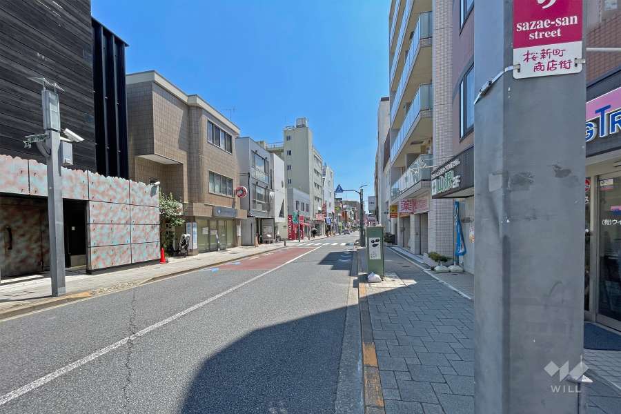 敷地の東側全面道路（北側から）
