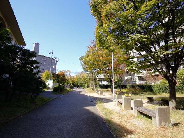 敷地内の通路と緑地（1号棟の南側）