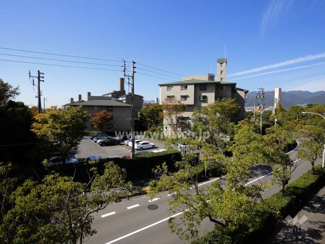 芦屋緑1住宅の遠景。周辺は区画の整った緑豊かな住宅地です。