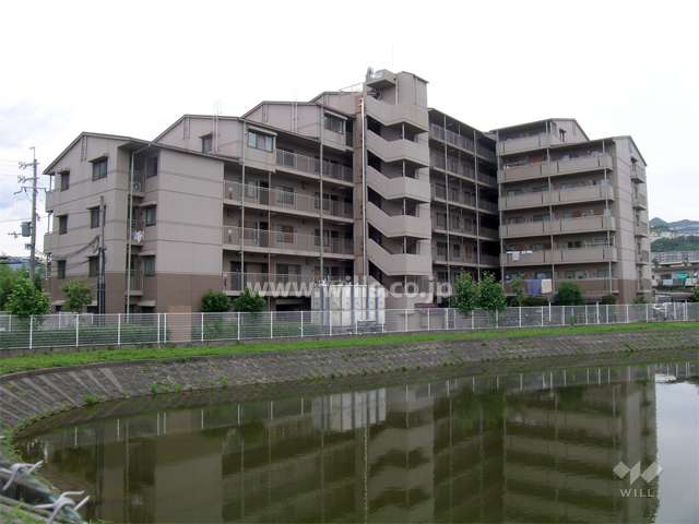 敷地の東側には池があります。