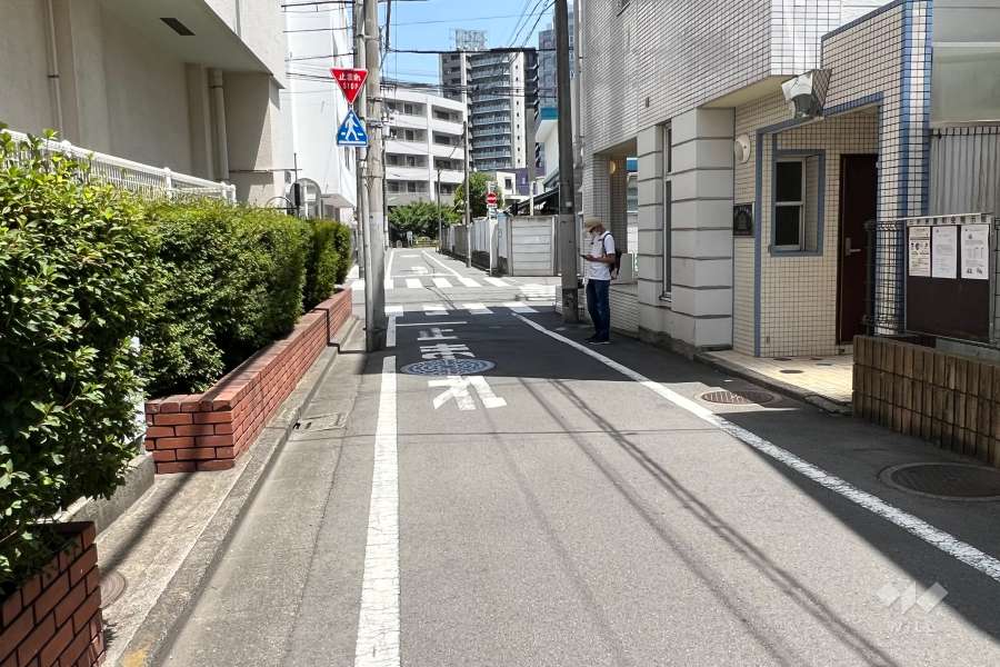 敷地北側の前面道路(西側から)