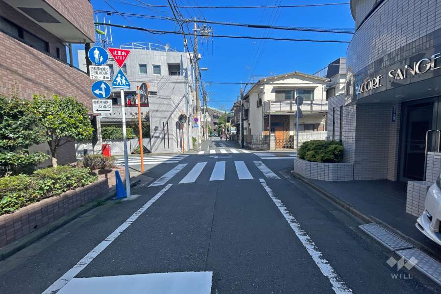 敷地西側の前面道路（南側から）