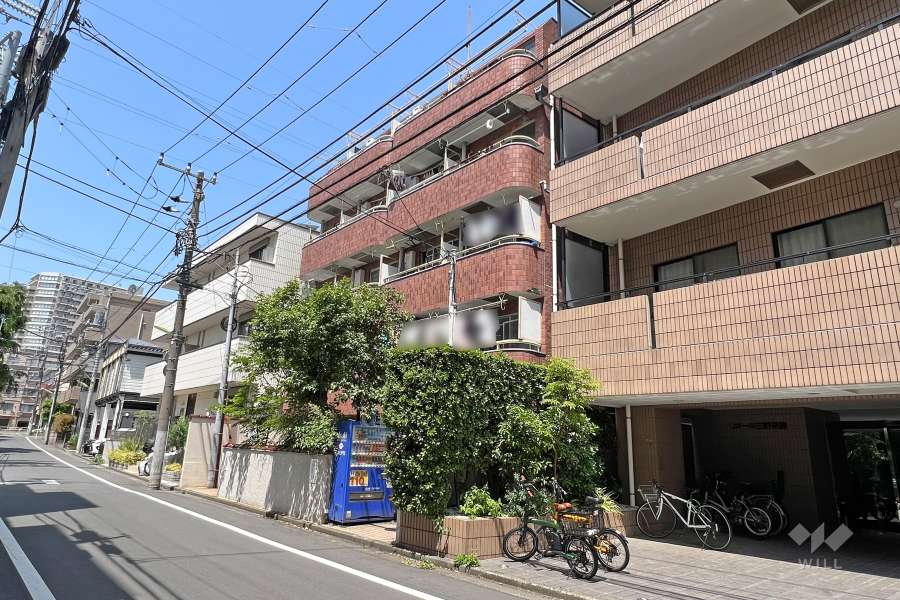 メゾン・ド・クリスタルの外観(南東側から)