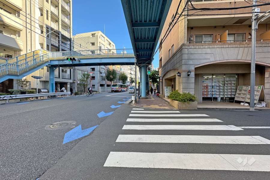 敷地北側の前面道路（西側から）