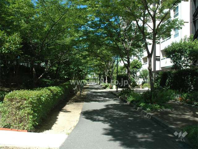 敷地内はたいへん緑豊かです。