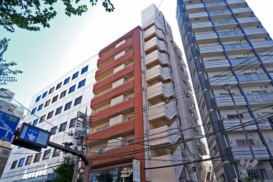 ＭＪハイツの外観（北側から）