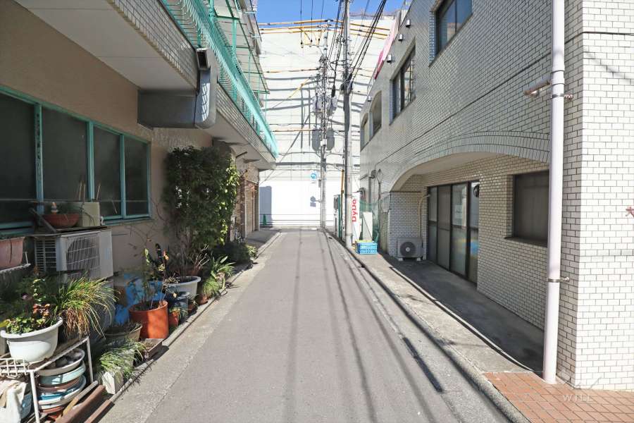 敷地の西側前面道路(南側から)