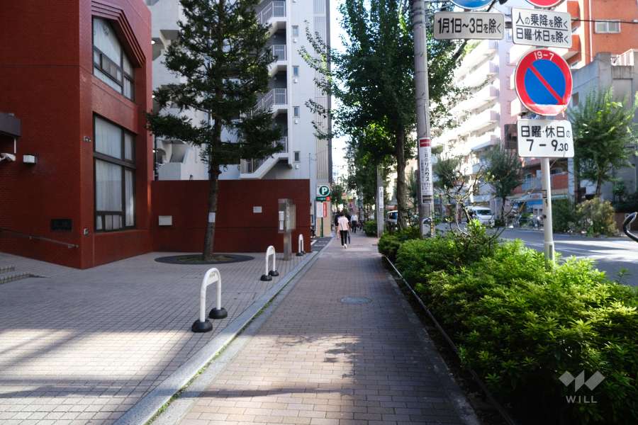 敷地北側の前面道路（東側から）