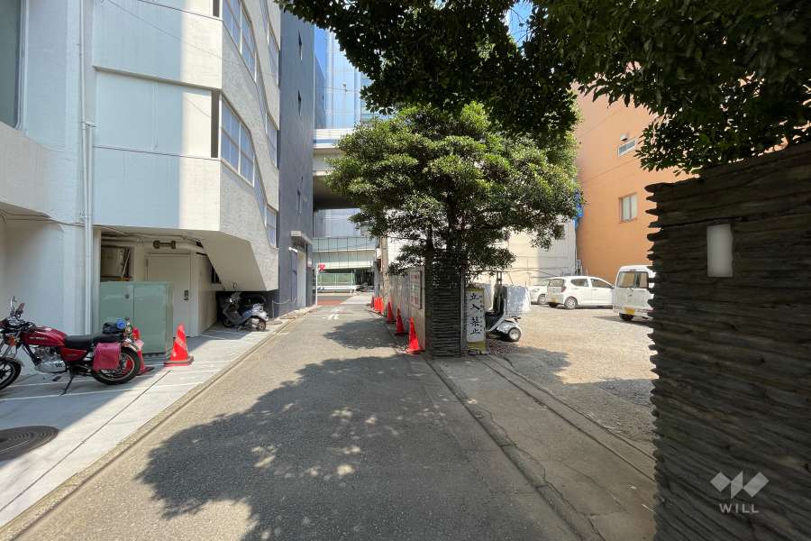 敷地南側の前面道路（西側から）