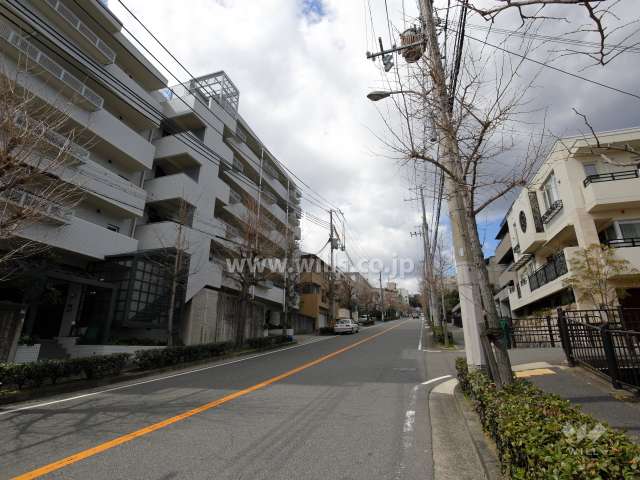 敷地北側の前面道路（二車線のバス通り）