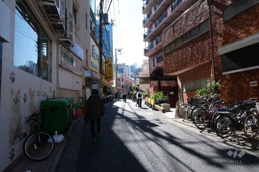敷地北側の前面道路（西側から）
