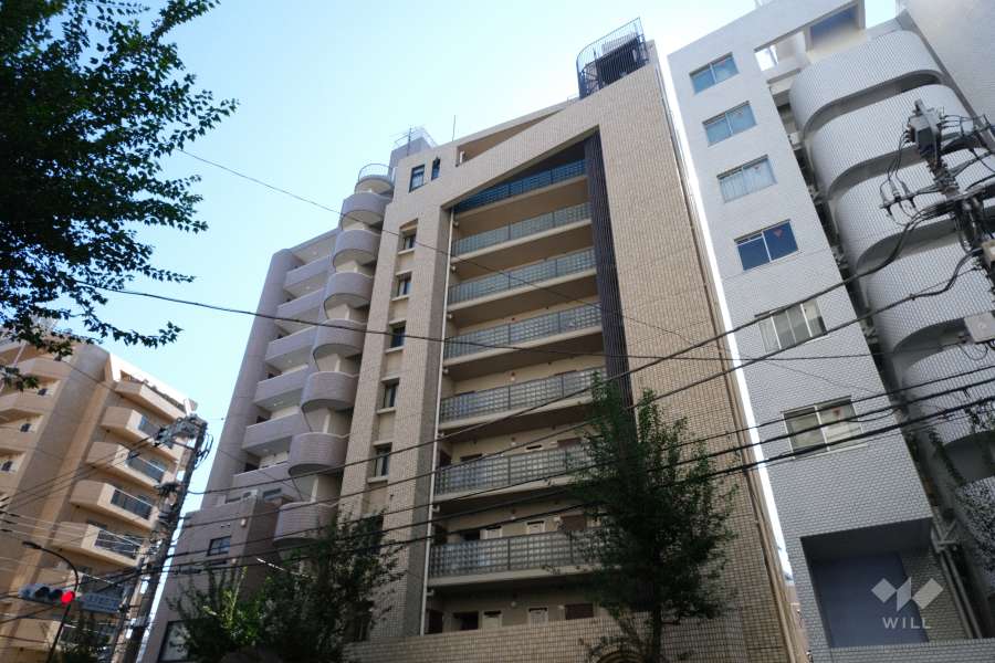 ライオンズマンション三軒茶屋ナカムラの外観（北西側から）