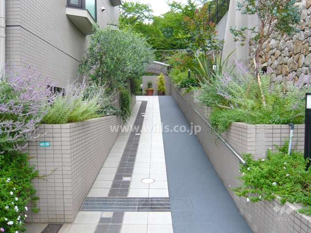緑豊かなエントランスアプローチ