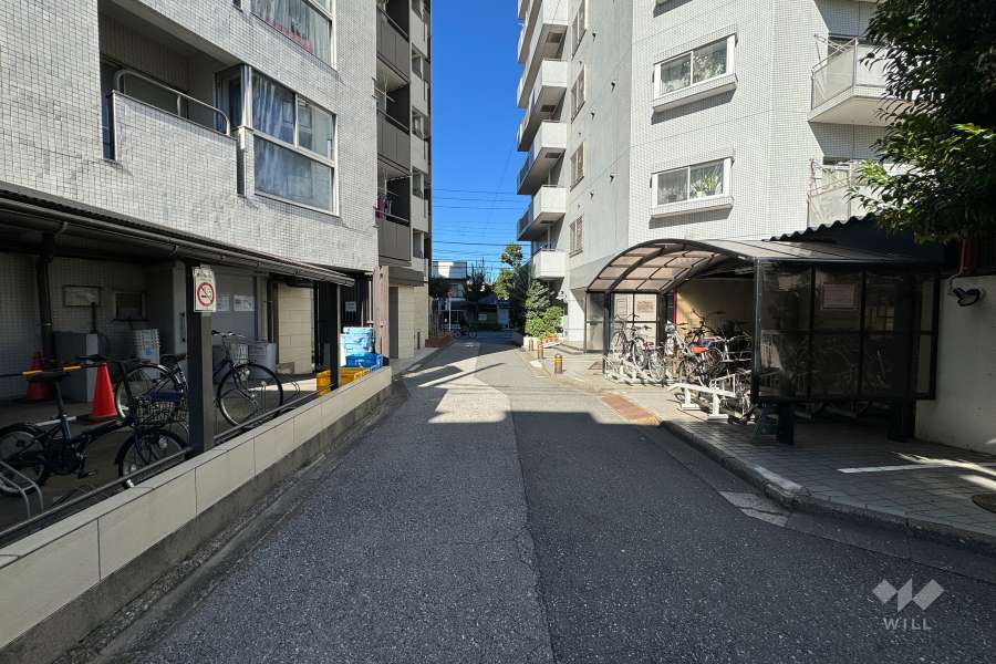 敷地の東側前面道路（南側から）