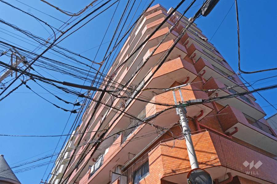 ライオンズマンション三宝徳の外観（南東側から）