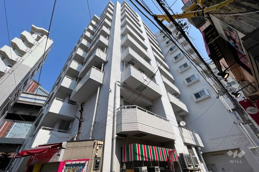 ワコーレ三軒茶屋の外観（南東側から）